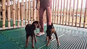 166K views · 4.1K reactions | The Spanish Kids Are Coming! Nine...