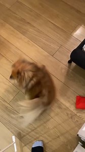 He's very excited! | New York Post Lifestyle
