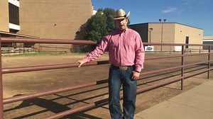Learn about the American Quarter Horse Association horse shows with Chief Show Officer, Justin Billings! AQHA shows are perfect for highlighting your American Quarter Horse's versatility and talents. From western pleasure to jumping and everything in between, AQHA has a class for you and your American Quarter Horse. After viewing the video, learn more at aqha.com/showing. #NationalDayoftheCowboy #AQHFoundation #AQHMuseum | American Quarter Horse Foundation - Hall of Fame & Museum