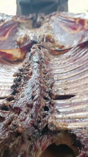 Chef Rodrigo Arandia | CHEF de ELITE