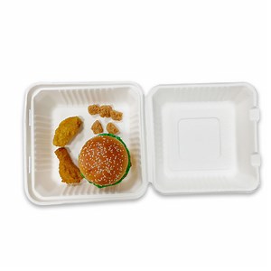 [Hot Item] Chinese Supplier Biodegradable Sugarcan Bagasse Food Box for Lunch