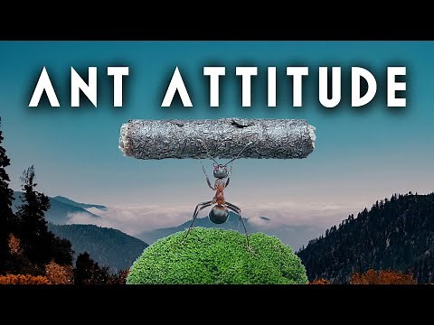 The Ant Attitude (Ant Mindset) - A Powerful Motivational Video by Titan Man