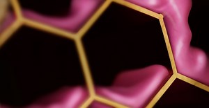 Deloitte Digital | CA