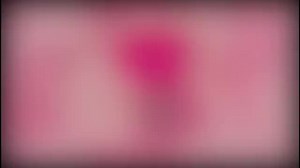 Remote Control Lady G Spot Wearable Panty Butterfly Vibrator for Women