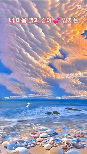 내 마음 별과 같이 💕 앙지은 #미스트롯 #트로트