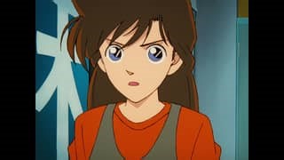 The Fake Ransom Case