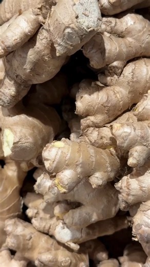 Breathe easier, naturally 🌿 Did you know ginger can help soothe asthma symptoms? Its anti-inflammatory properties may relax airways and reduce irritation. Discover why with Dr. Farrah! Visit doctorfarrah.com for more info. #reelsfacebook #HealthyLiving #DrFarrah #FABLTD #DoctorFarrah #NaturalHealing #WellnessTips #ginger | Dr Farrah MD