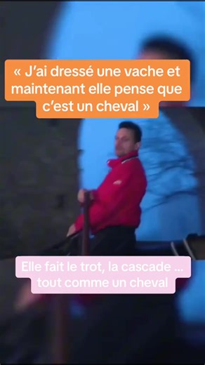 2.7K views · 115 reactions | Nouvo Batch PTPi P Importer Pou Saison 2024  | Mauritius Turf Passionates | Facebook