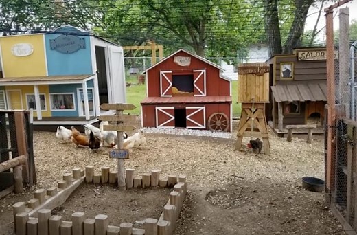 This Wild West Chicken Coop Town is Perfect for Backyard Chickens