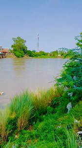 444K views · 10K reactions | Stap garm ho gay  | Chandu Smart 81 | Facebook