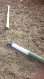 Lilly enjoying a play this morning. She is 4 year old 15 3 hh she is for sale. | Lynne Ward at Hollins Stables