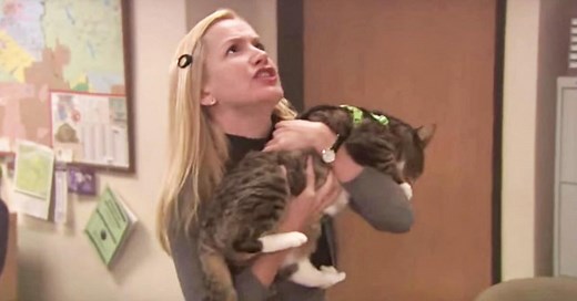 The Office Honors Angela's 17 Cats on National Cat Day