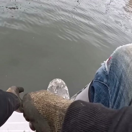 Absolutely Unbelievable Magnet Fishing Deep in the Weeds! #magnetfishing