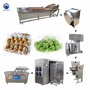 [Hot Item] Chayote Ball Forming Machine Meatball Veggie Ball Production Line