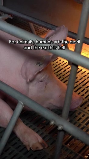 Understanding Curtain Cleaning in Attwood