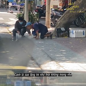 2.4K views · 88 reactions | Hãy sống như những đóa hoa đẹp nhất  | Mỗi Ngày Nhiều Bản Nhạc | Facebook