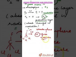 Ozone Formation and Depletion