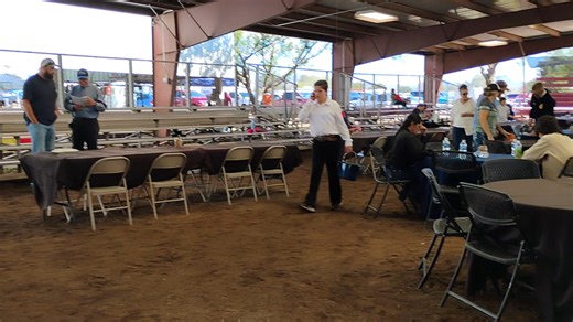 Large stock auction in one hour! | Cochise County Fair Association