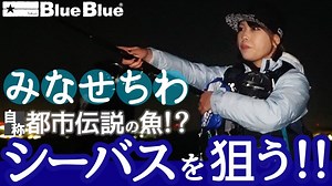 みなせちわが初めてのランカーシーバスを狙う！！サポートには高橋優介が登場！！【BlueBlueFishing】