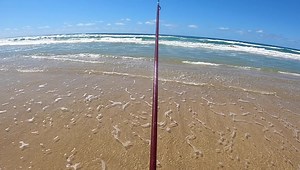 Sometimes conditions aren’t in your favour like 15-18 knot NE winds with bigger seas out the back. This video shows some footage of the captures (until my battery died before some better size whiting as luck would have it) but later in the video I go through my Tackle and types of gutters to look for as the tide changes and when the winds are up. MJF Fishing Rods Platypus Fishing Lines Gardiner Fisheries Rainbow Beach Salty Gear Fishing Brand Alvey Reels Australia Fishing Noosa Tackle World Noos