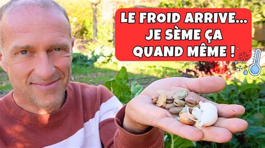 Mes derniers semis avant l'hiver (et pourquoi ça marche ?)