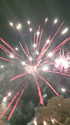 Spinal Tap ( Pro) 50 Shot Firework by Pyro Demon #pyroaddicts #pyro #fireworksdisplay