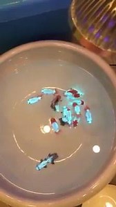 Awesome  | Amazing Malaysia | Facebook