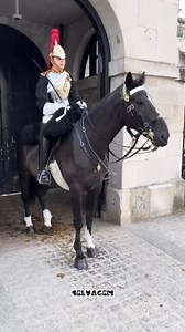 1.4K views · 48 reactions | CAVALO REAL | Selvagem | Facebook