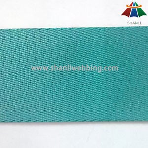 [Hot Item] Top Grade 800d 2 Inch Nylon Webbing for Amusement Equipment