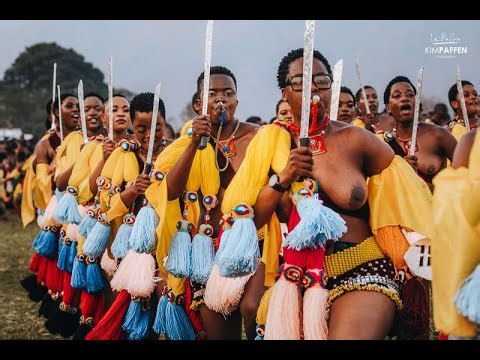 Umhlanga Reed Dance 2025 & Zulu Wedding Traditions Explained | Eswatini & South Africa Culture #zulu