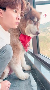 5.4K views · 18 reactions | Dog's yoga practice interrupted (For entertainment purposes only. Consult professionals if guidance on activities is presented. No brand affiliation is implied if any are shown. If inspired by true events, creative adaptations may be included. Content may include public footage.) | Fabiosa Australia | Facebook