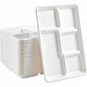 [Hot Item] 5 Compartment Biodegradable Bagasse Hospital Disposable Food Containers Fast Meat Packaging Tray