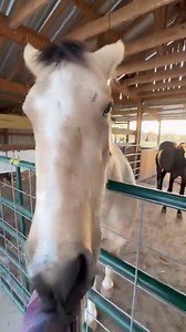 Look at this wrap around kiss! | From Suits to Boots