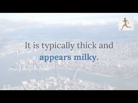 What is female ejaculation