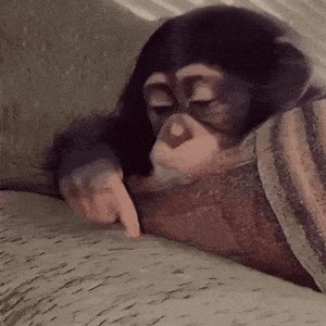 Stan Twitter Monkey GIF – Stan twitter Monkey Sad – Ищите GIF-файлы и обменивайтесь ими
