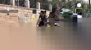 58 reactions · 28 shares | RIP Sausage the riot dog! He was one of us. #Greece | Class Struggle | Facebook