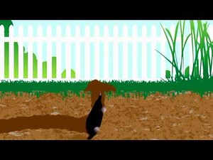 Mole Repeller
