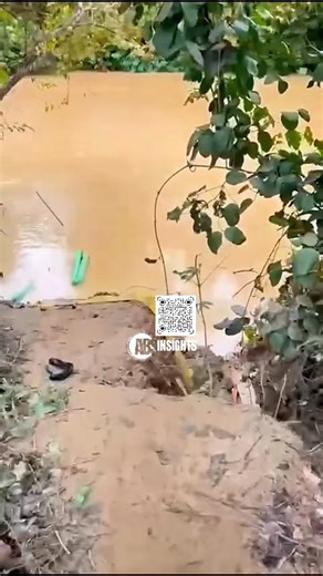 ⚠️ Disturbing Video Shows the Extent of Galamsey Destruction in Tarkwa Nsuaem — Blue Water Guards Conduct Raid but Operators Escape Article: A disturbing new video has emerged showing the devastating impact of illegal mining (galamsey) activities on the lands and water bodies in Tarkwa Nsuaem. The once vibrant landscape now bears deep scars, with vast open pits and muddy, contaminated streams replacing what was once fertile ground. Reports indicate that the Blue Water Guards carried out a surpri