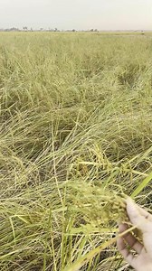 naturals so beautiful | 10M | Facebook