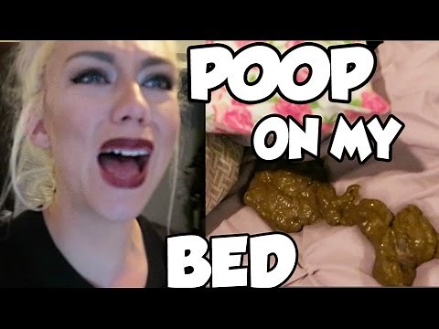 MY DOG POOPED ON MY BED!!! | NICOLE SKYES