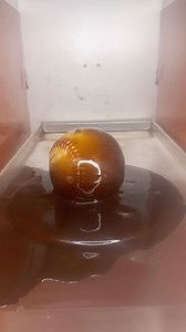 We Freeze Dried A Baseball! ⚾️😱 #candy #baseball #mlb #candymaking | Trendy Treats