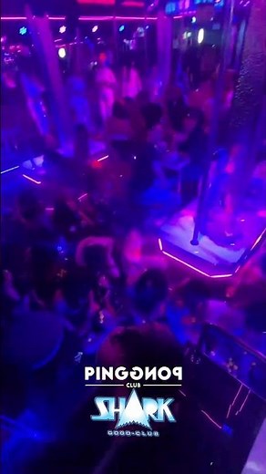 SHARK Agogo, Walking Street Pattaya