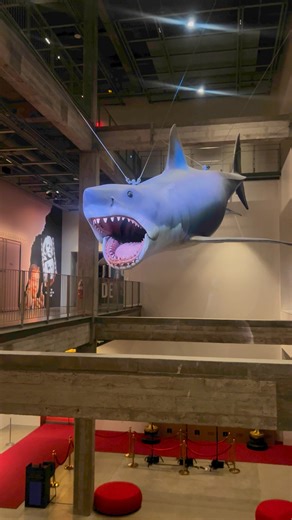 23K views · 63 reactions | Going down the elevator at LACMA and saw this scary shark! 藍 | Melissa Gisoni | Facebook