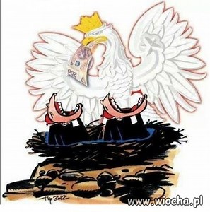 Zbyt wiele Orzeł Biały