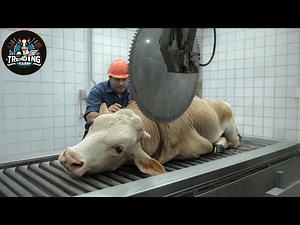 Inside The Food Factory: Million Of Cow Slaughter & Beef Processing Factory Doner Kebab
