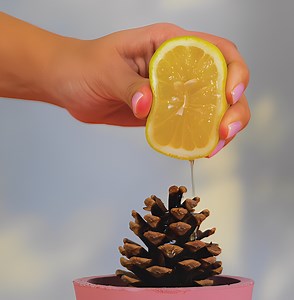 71K views · 350 reactions | 5-Minute Crafts UK on Reels | Facebook