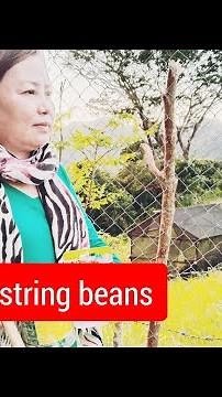 How to plant string beans 🫘 / Relaxing and Calming