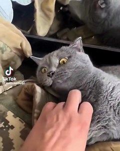 36K views · 3.7K reactions | Safe and cozy | In Ukraine | Facebook