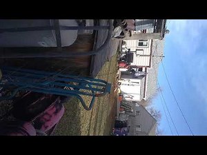 Spying on my neighbors they actually almost caught me