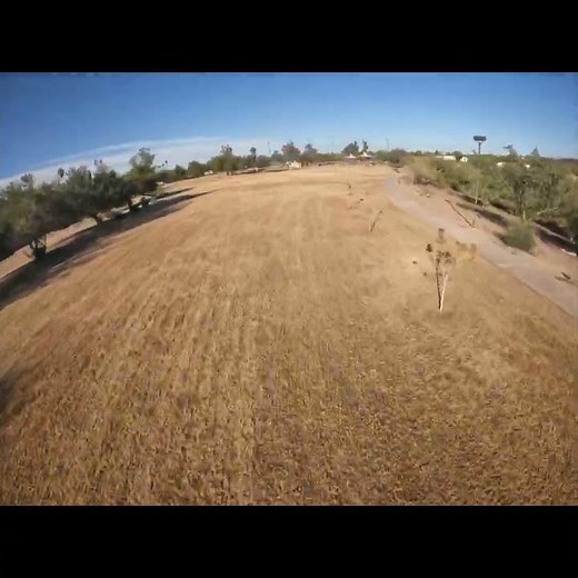 Trees Are Dicks Ask ‪@Kenheron‬